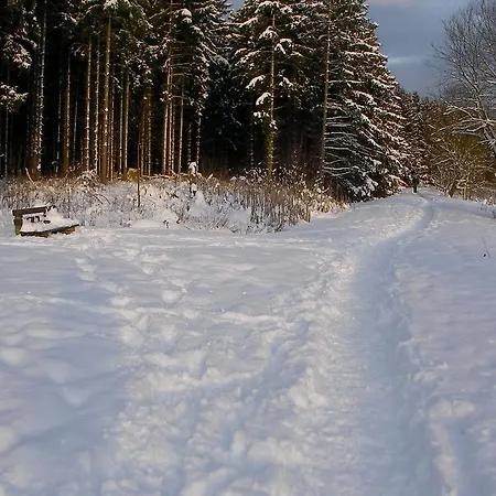 Im Maibusch Holiday home Ulmen